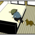 【猫との暮らし】どっちかと言うと猫に面倒見られてる飼い主