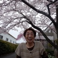 春がやってきました🌸