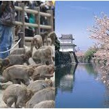 『大分県 大分市 の看護師、常勤・派遣・非常勤・パート・委託求人』の画像