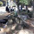 20260222弘法山（神奈川県）