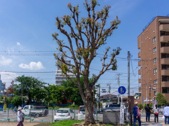 弓道に向いてそうな大和市内の駅はど〜こだ？【やまとなぞなぞ】