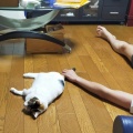 そんな怒らんでもな…