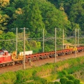 DD51-1183+ロンチキ　米原工臨を撮影