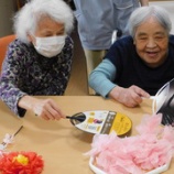 『花びらレク🌸／ムーンシャドウ』の画像