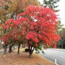 週末のライブ鑑賞