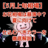 『お花相場は暴落中？夏に向けて仕込むべきカラーを徹底解説！』の画像