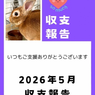 for the RABBIT【保護うさぎの里親探し】