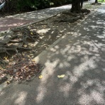 斜面防災設計【上岡地盤防災】（技術士事務所）blog