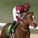 【競馬】シンエンペラーさん香港遠征辞退でアメリカ遠征　5/2米G1ターフクラシックＳへ参戦