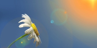 義両親と義妹と同居中。最近、玄関に一輪の花が置かれるようになった。犯人は義妹の元同級生で、義妹への恋心が再燃したそう。その後衝撃の事実が明らかに…