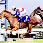 BOSS猿のアナログ肉眼競馬