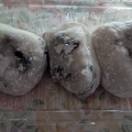 そば定食