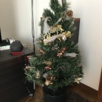 幻覚・妄想とたたかう統合失調症闘病記