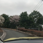 Cafe de arte Tabei 田部井辰雄のブログ