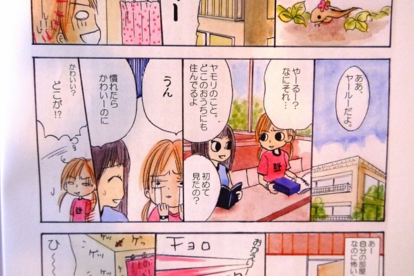 実践 沖縄ガイド うちなぁてーげー日記