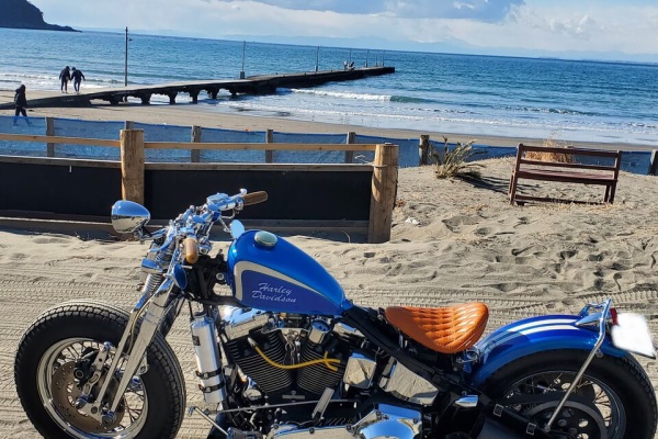 ランブータンバイクシート作製のブログ - ランブータンハイバック