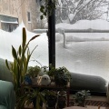 豪雪