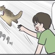 そういえばマロはこういう子だった