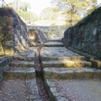 Dandy's Rock'n' Roll Blog