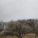 早朝ツーリング　雪降りそうでやばい