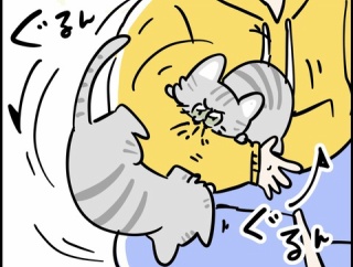 猫もワニの必殺技使えるんです