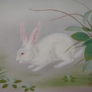 大矢大響 掛軸 kj－220 秋意（ウサギ）