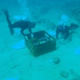 海底に爆発物らしきもの、120センチ×40センチの筒型…海自水中処分隊が確認！