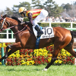 ☆うまなみ・競馬にゅーす速報