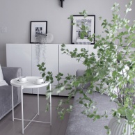 買って大正解！念願のバルミューダの加湿器"レイン"が我が家にやってきました！