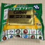 TAMAの広く浅く所々深い趣味の世界