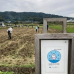 小田原　たんぼの学校　初級コース