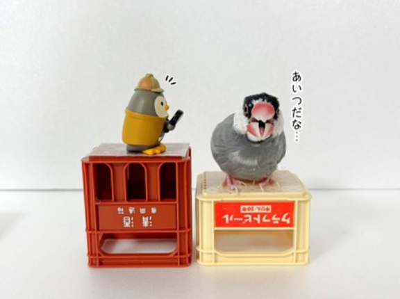 探偵フクロウ、報酬は必須です