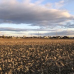 三重県よろずや