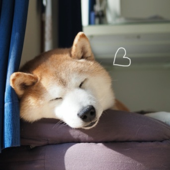 暖かい日曜日♪