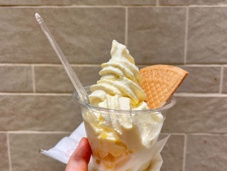 サンフルーツのゴールデンパインソフト