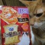 だいちゃんとはなちゃんの猫日記