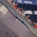 なんでこんな所に猫が？観客たちが一体となってピンチの猫を救う。海外の反応