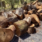 かえるのひとりごと