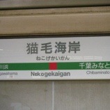 『猫毛海岸！ リターンズっ ・・・前回よりは、、、』の画像