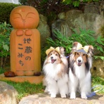 メロディ＆ミニーの写真館