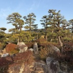 飯盛良隆のi佐賀iよ～したか