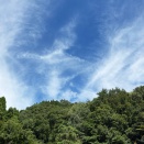 蝉鳴く彼岸の墓参り
