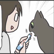 ついに投薬に気づいてしまった猫