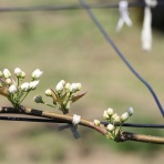 田所大介の富山なんでも食遊記