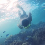 『セブ島モアルボアルのスノーケリングポイントガイド（動画付き）』の画像