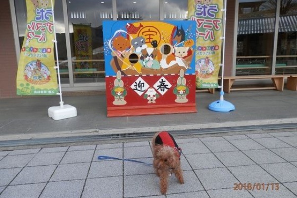 おでかけワンコだにゃ - 犬連れ奈良♪