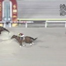 【競馬】ダート2冠馬フィンガーにアメリカ遠征プラン浮上