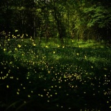 �ҥ�ܥ��������