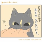 一寸先はねこ