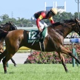 【競馬予想】[2]第1回アイルランドトロフィー(GⅡ) /2025
